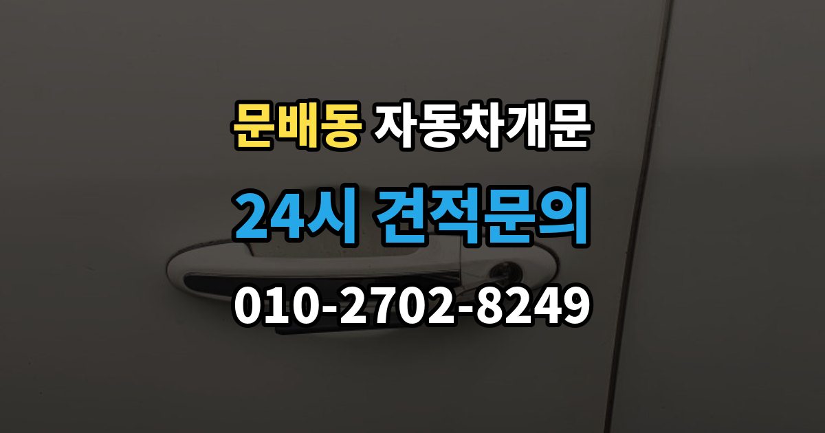 문배동 자동차 문 잠김 리모컨 오작동과 실제 잠김 구분하기