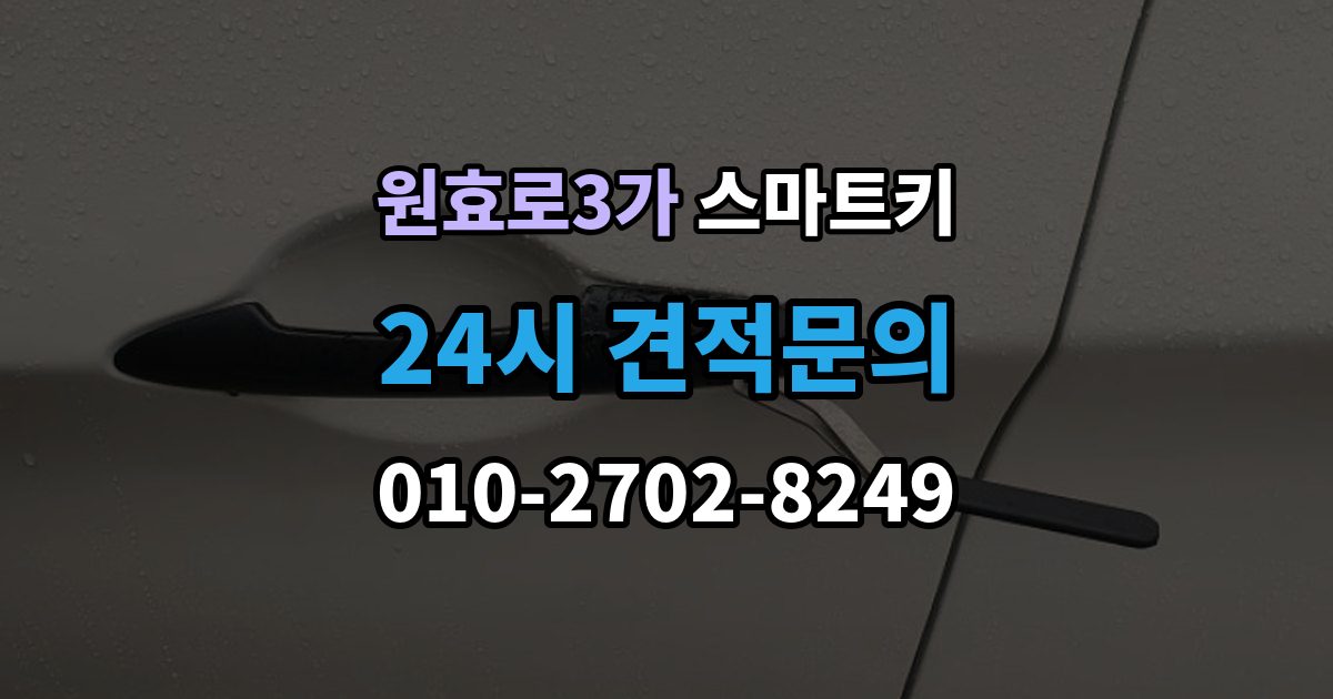 원효로3가 스마트키 키리스 기능 작동 범위와 거리 확인법