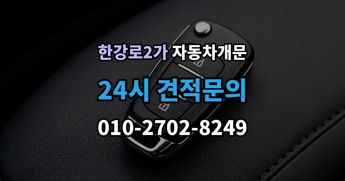 한강로2가 차 문 잠겼을 때 문은 열려도 시동이 안 걸릴 때 구분법