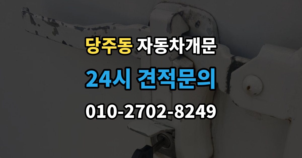 당주동 자동차 문 잠김 리모컨 오작동과 실제 잠김 구분하기