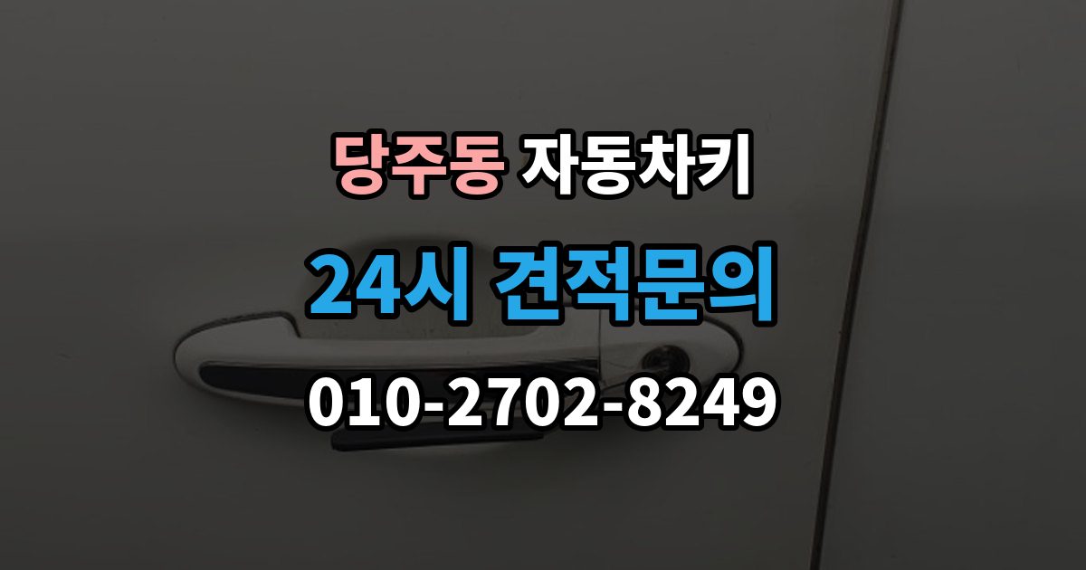 당주동 자동차키 스마트키 케이스 교체 시 호환성 확인 방법