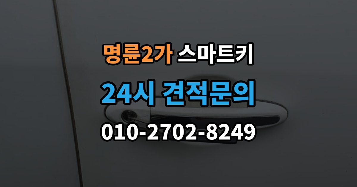 명륜2가 스마트키 버튼 반응이 느릴 때 점검 항목