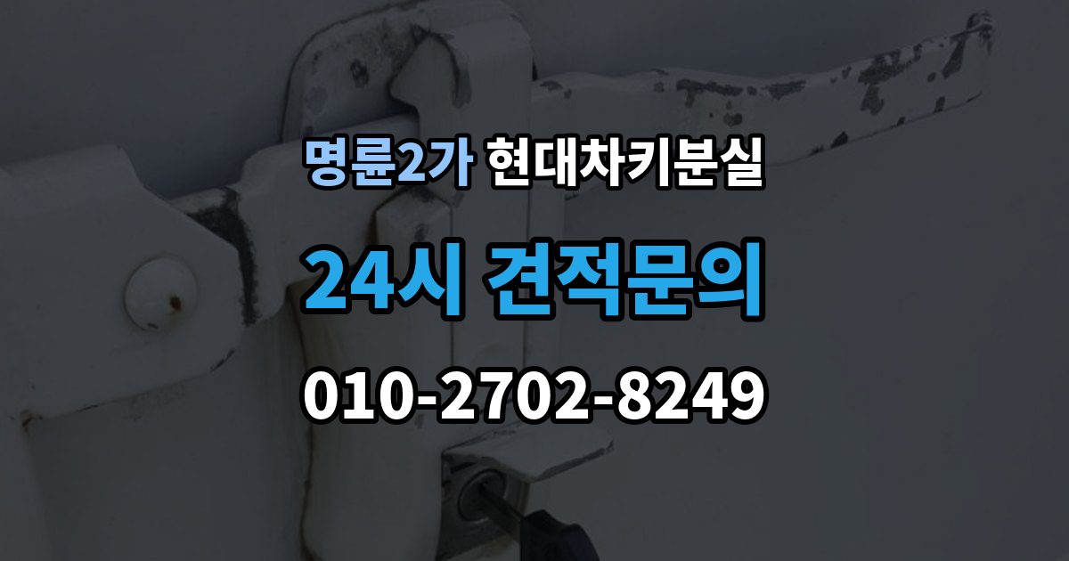 명륜2가 현대 차키 분실 출장 안내 - 전자식 키가 완전히 먹통일 때 살펴볼 순서