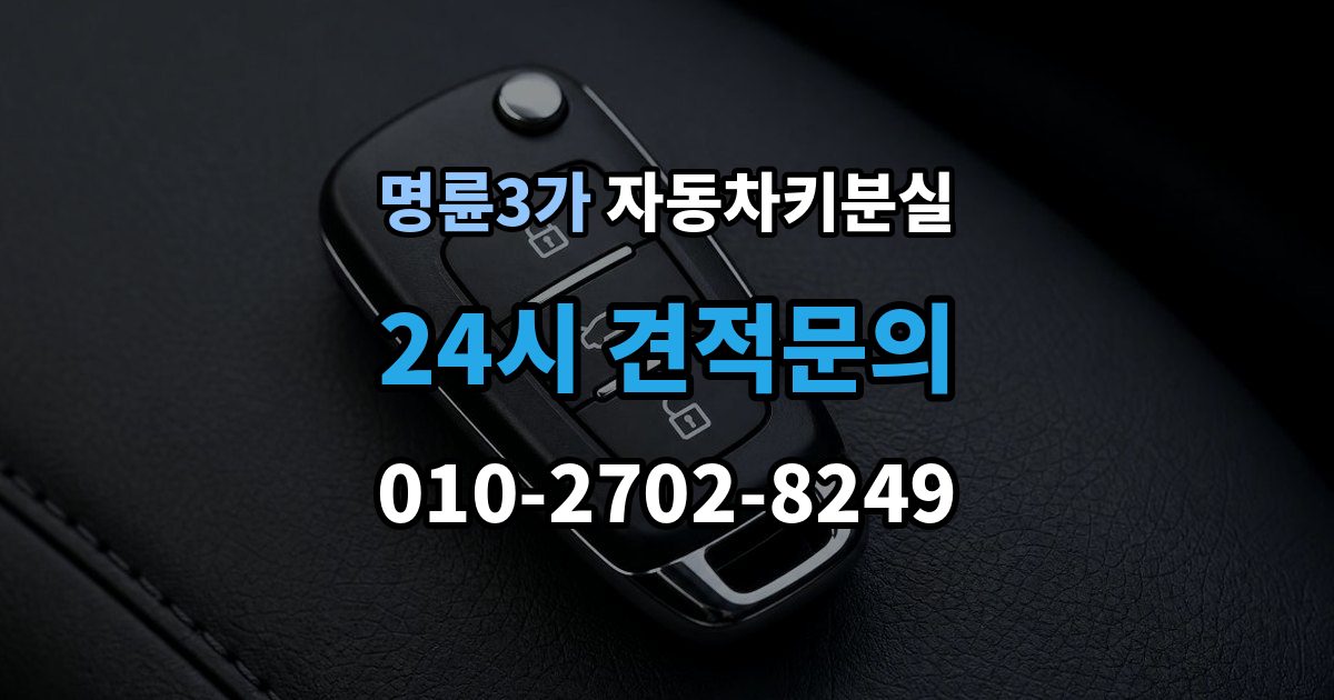 명륜3가 차 키 잃어버렸을 때 야간에 잃어버렸을 때 확인할 점