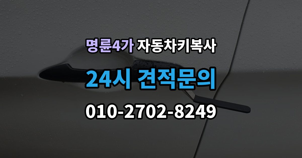 명륜4가 자동차키 복사 도어키만 필요한 경우 확인할 점