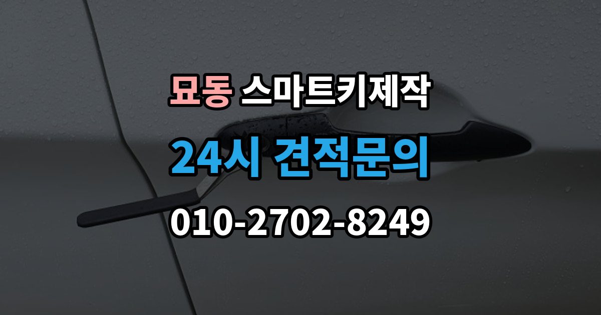 묘동 스마트키 제작 주차된 장소에서 바로 가능한 작업 범위