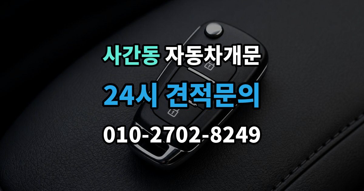 사간동 자동차 문 잠김 리모컨 오작동과 실제 잠김 구분하기