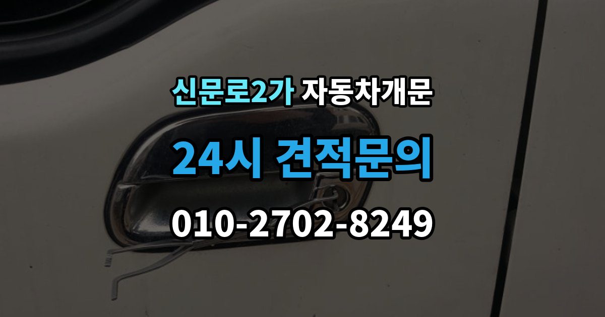 신문로2가 자동차 문 잠김 리모컨 오작동과 실제 잠김 구분하기