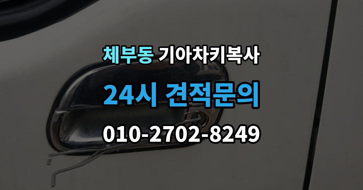체부동 기아 차키 복사 모양은 같아도 작동이 달라지는 대표 상황
