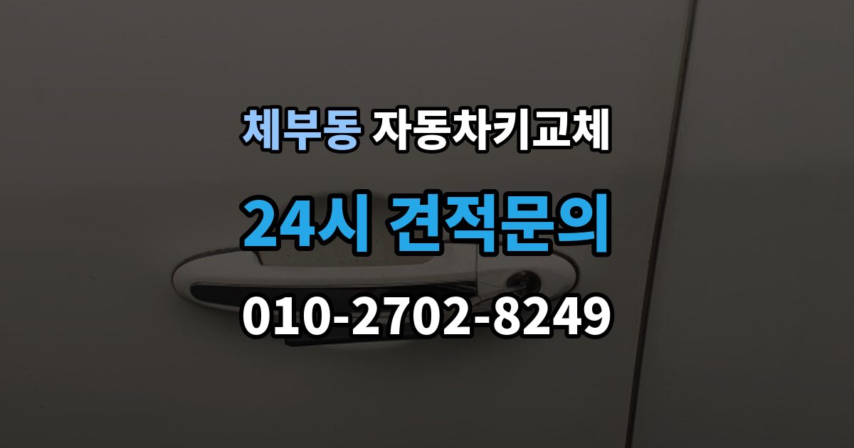 체부동 자동차키 교체 시동이 안 되고 잠금만 풀릴 때 점검