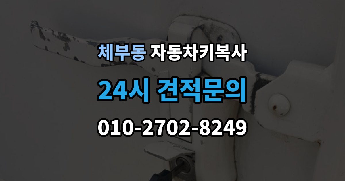 체부동 자동차키 복사 차량 잠금 해제용 키가 따로 필요한 경우