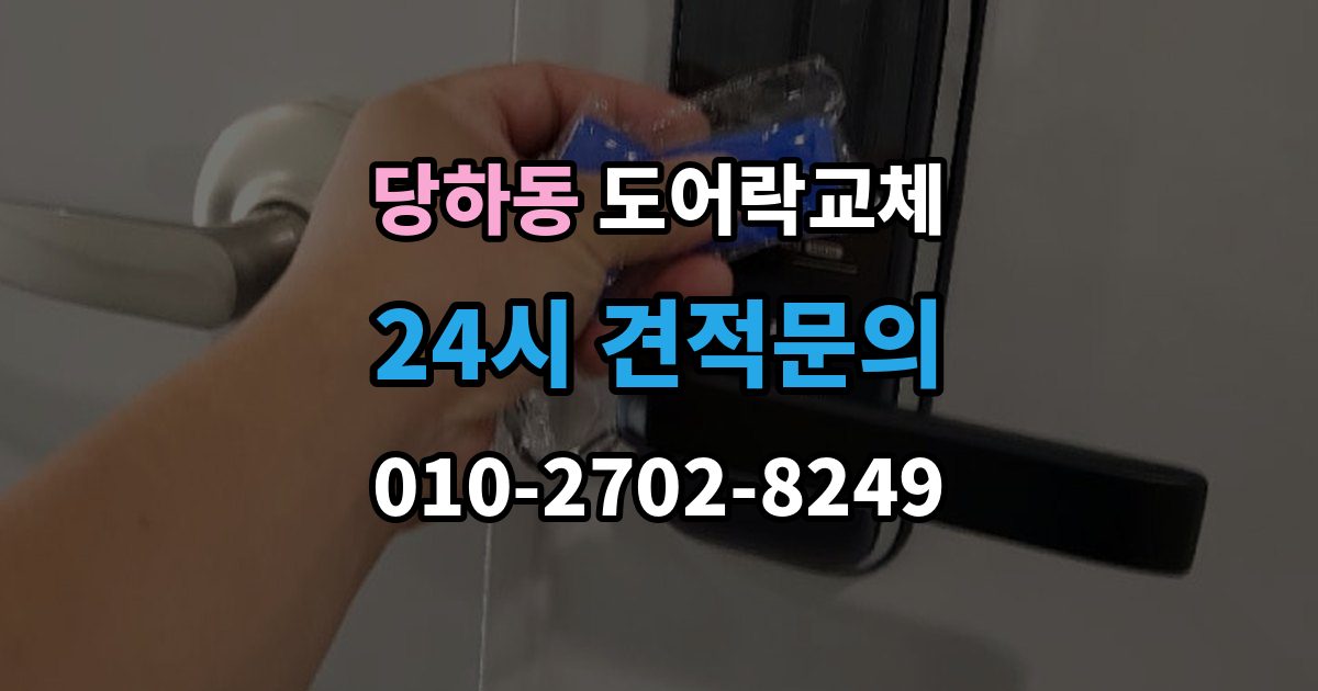 검단구 당하동 도어락 교체 전자식이 처음인 집에 설치 후 안내받을 것