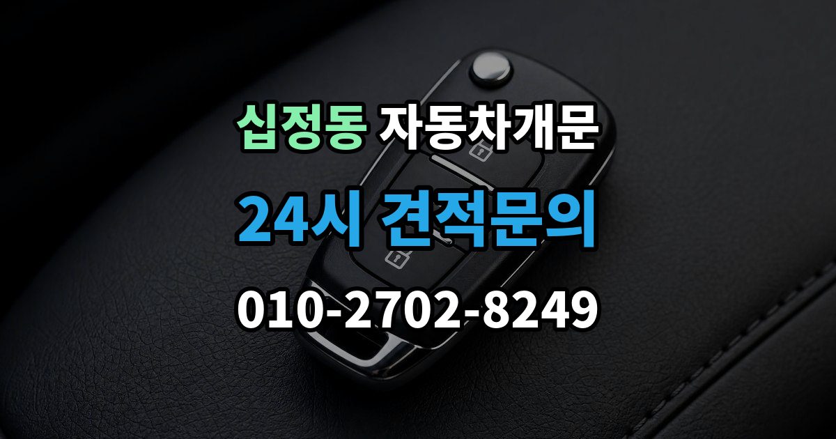 십정동 차 문 잠겼을 때 보험사 긴급출동과 전문업체 비교
