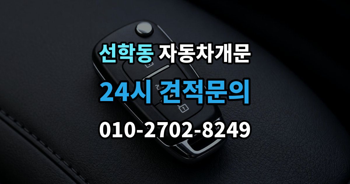 선학동 차 문 잠겼을 때 보험사 긴급출동과 전문업체 비교