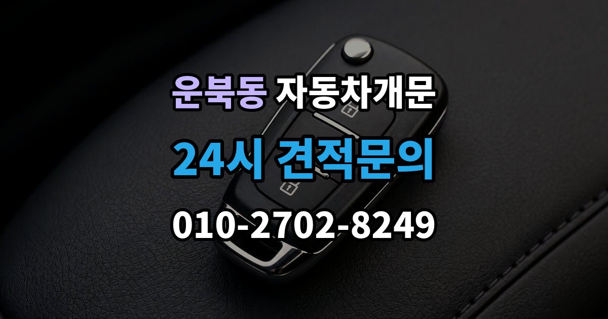 운북동 차 문 잠겼을 때 문은 열려도 시동이 안 걸릴 때 구분법