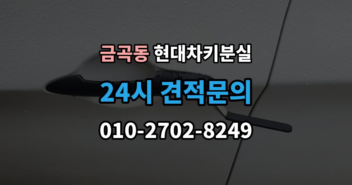 제물포구 금곡동 현대 차키 분실 출장 안내 - 도어락은 반응하는데 시동이 멎칠 때