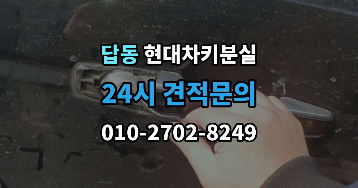 답동 현대 차키 분실 도어락은 반응하는데 원격 기능이 안 될 때