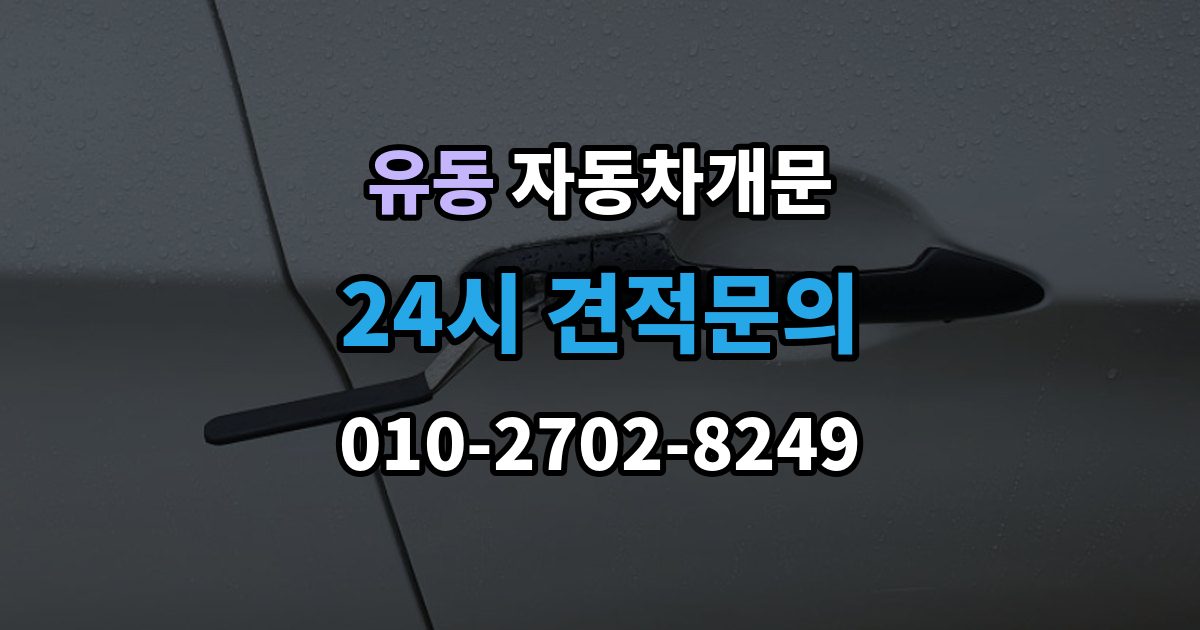 유동 자동차 문 잠김 겨울철 결빙으로 인한 잠김과 구분하는 법