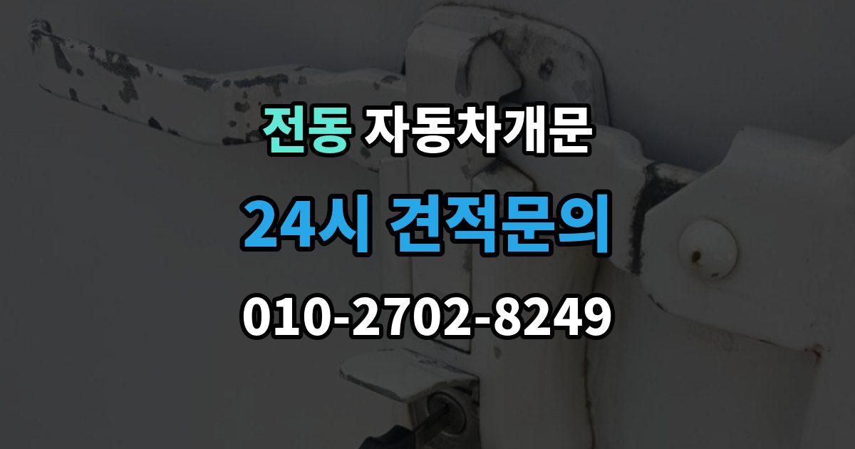 제물포구 전동 차 문 잠겼을 때 보험사 긴급출동과 전문업체 비교