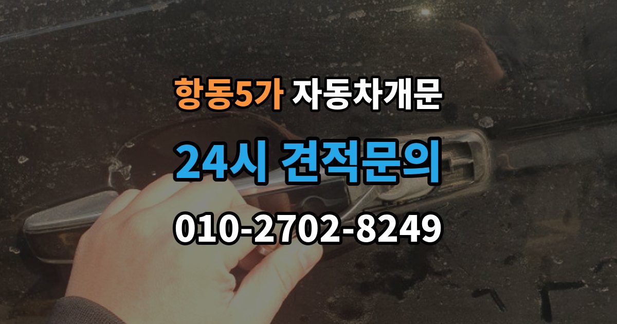 항동5가 자동차 문 잠김 리모컨 오작동과 실제 잠김 구분하기
